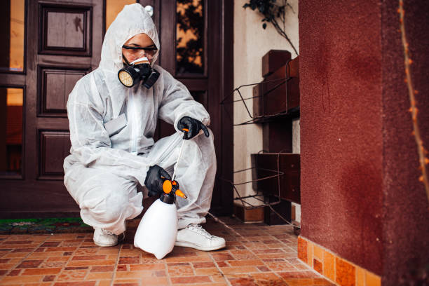 Reliable Wasp Removal contractor in Bear, DE by Show Me Pest Control